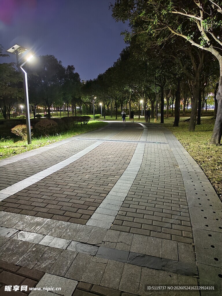 夜晚静谧的公园砖石步道