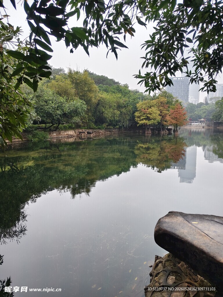 湖畔静谧风光