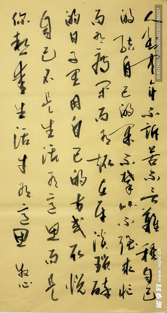人到中年 杨克东书法作品