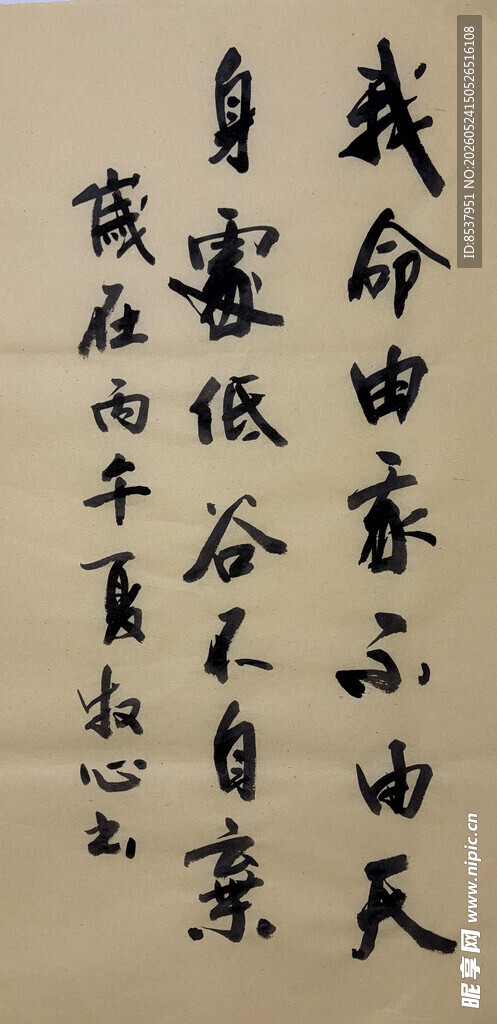 我命由我不由天 杨克东书法作品