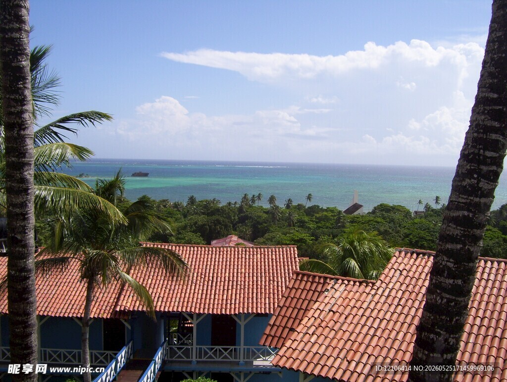 海边红瓦屋与椰树美景