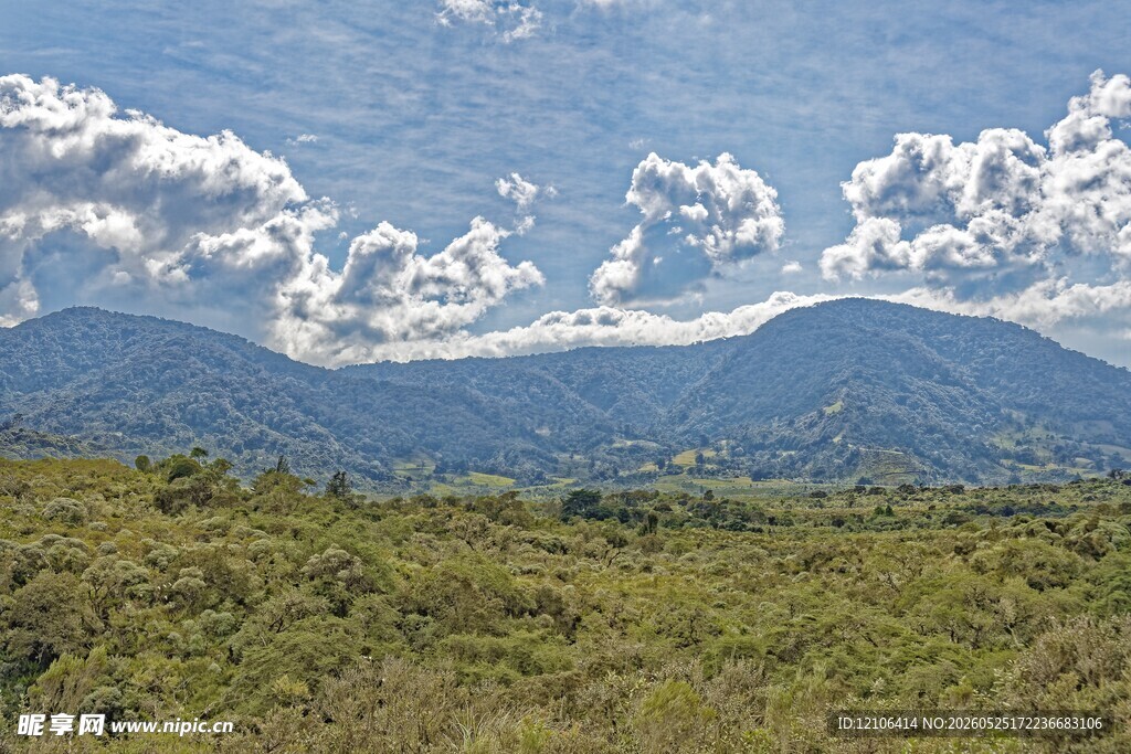 山间绿野云绕青山美景