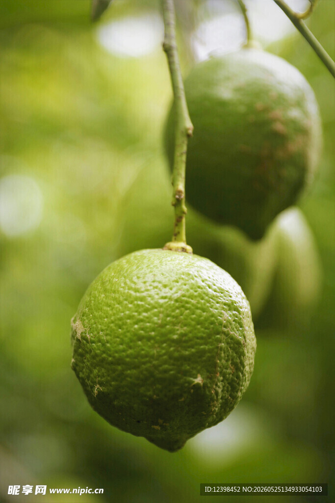 青柠檬