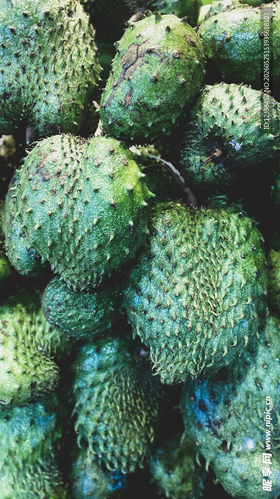 释迦果特写