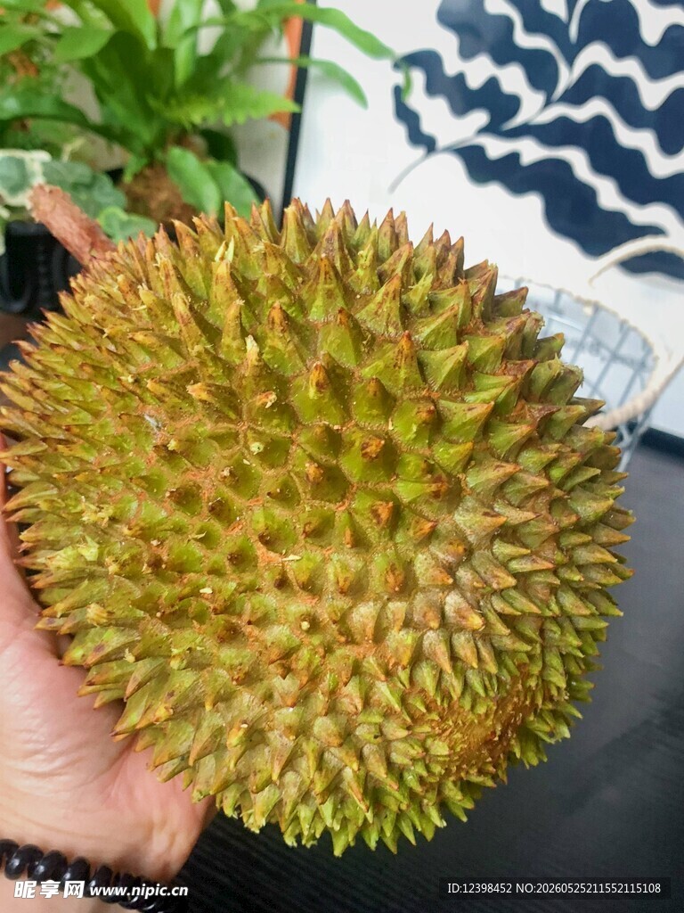 榴莲