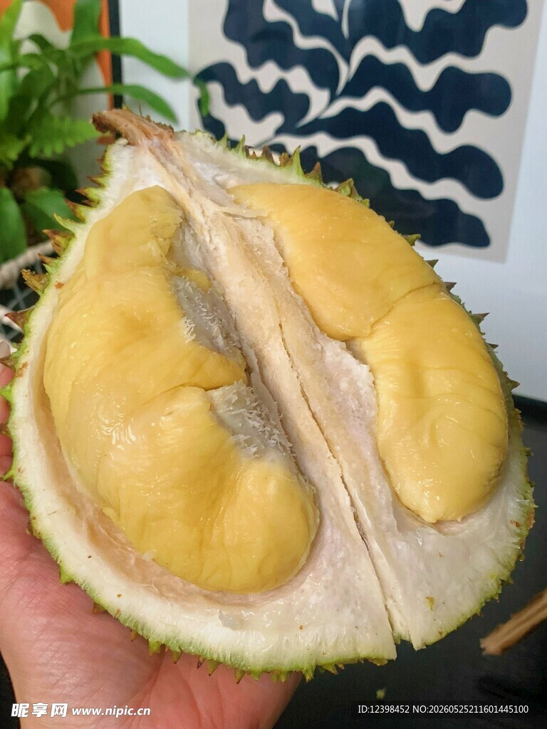 剥开的香甜榴莲果肉