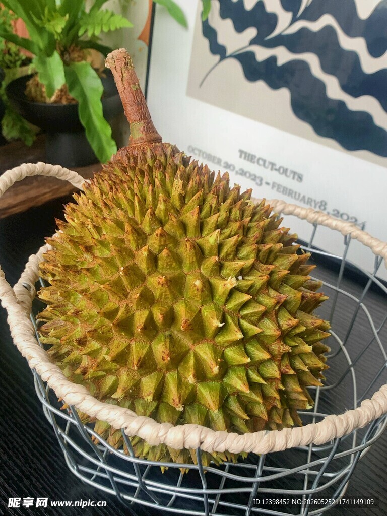 新鲜榴莲