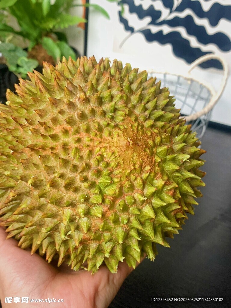 榴莲