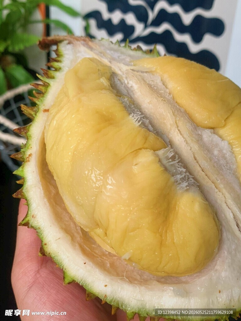 剥开的香甜榴莲果肉