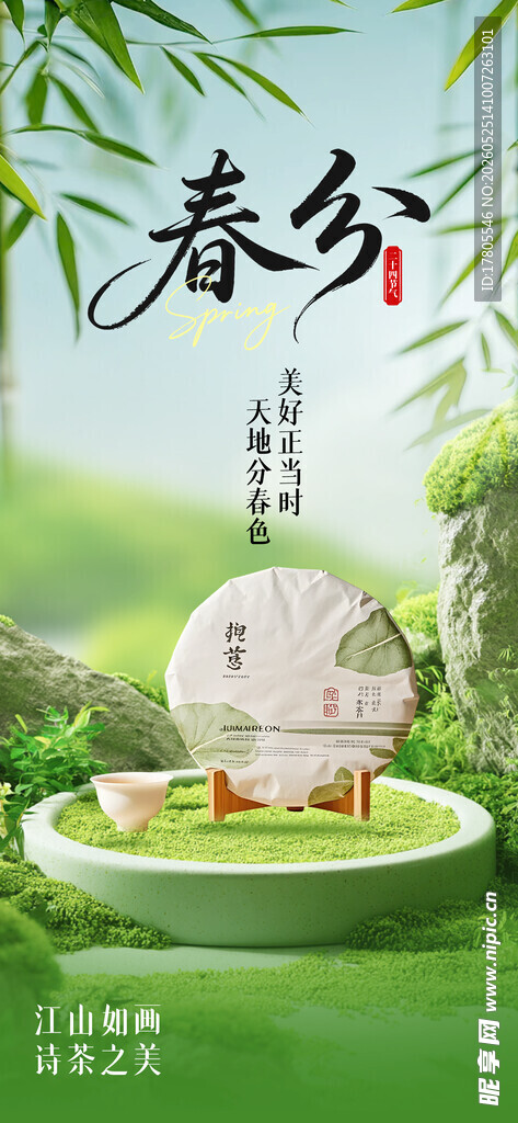 春分节气 绿植相伴的石球