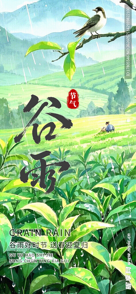 谷雨时节的田园绿意景象