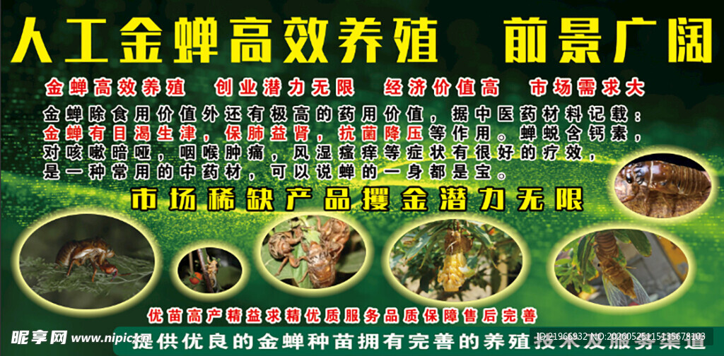 人工养殖高效收益前景广阔