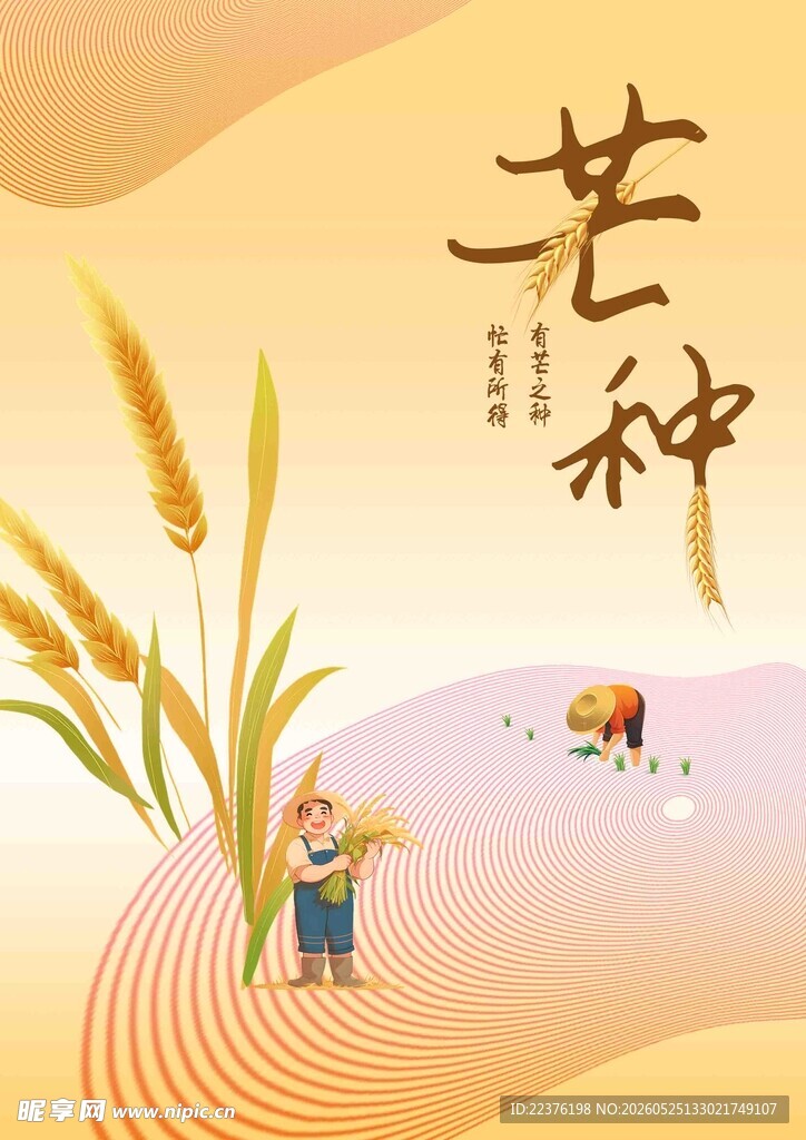 芒种时节田间劳作景象