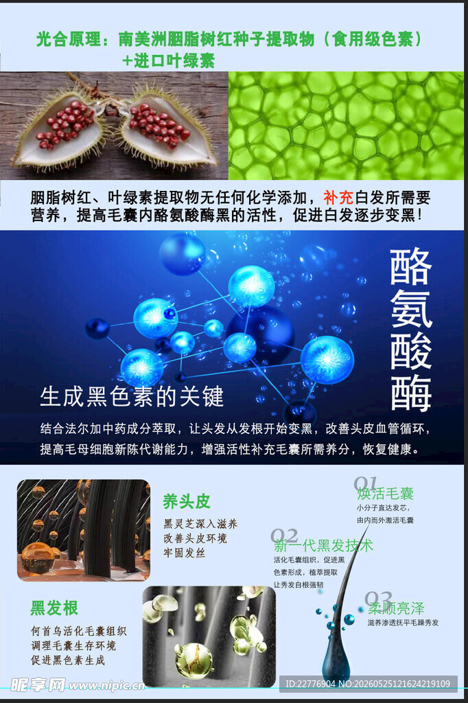 生成黑色素的关键