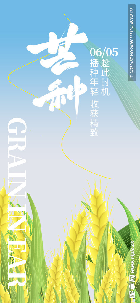 芒种海报