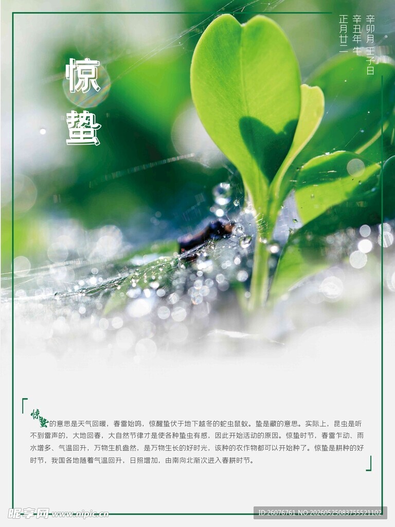 惊蛰海报 