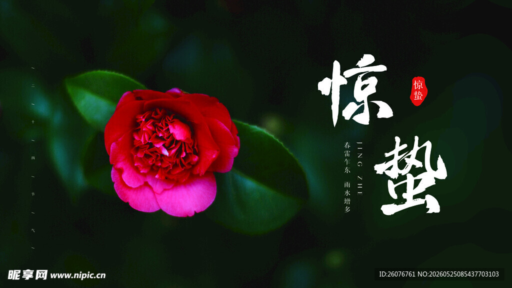 惊蛰海报 