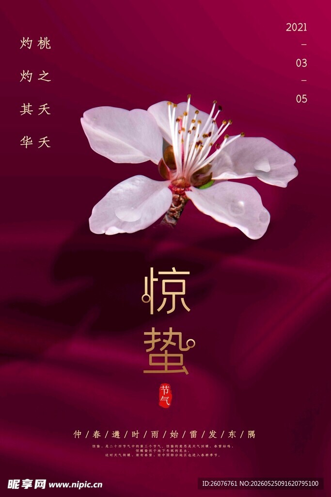惊蛰海报 