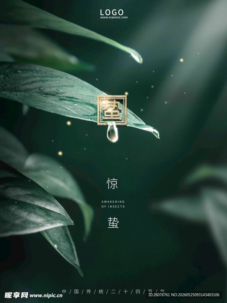 惊蛰海报 
