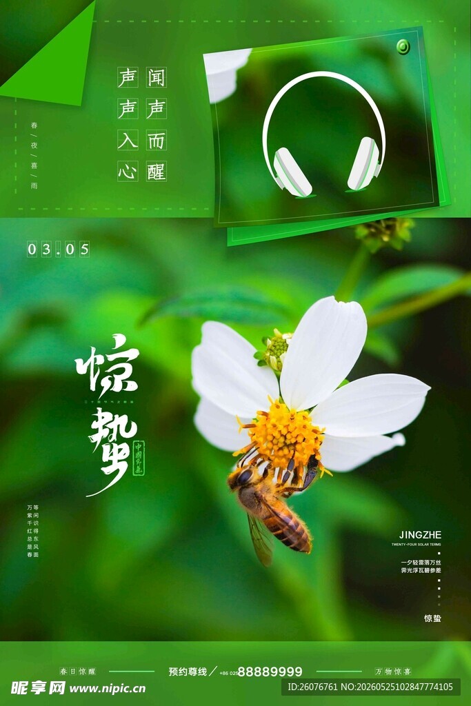 惊蛰海报 
