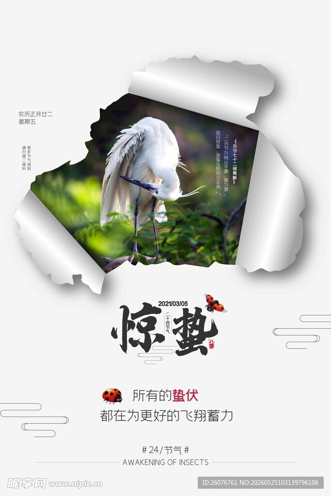 惊蛰海报 