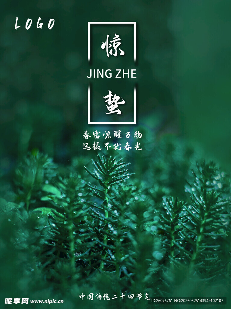 惊蛰海报