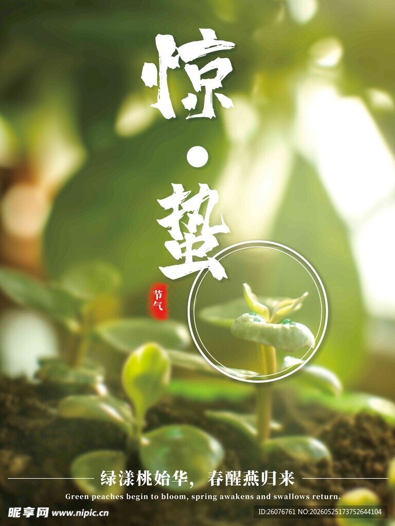 惊蛰海报
