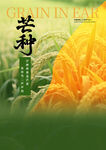 水稻海报 