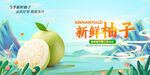 柚子