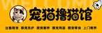 宠猫撸猫馆门头