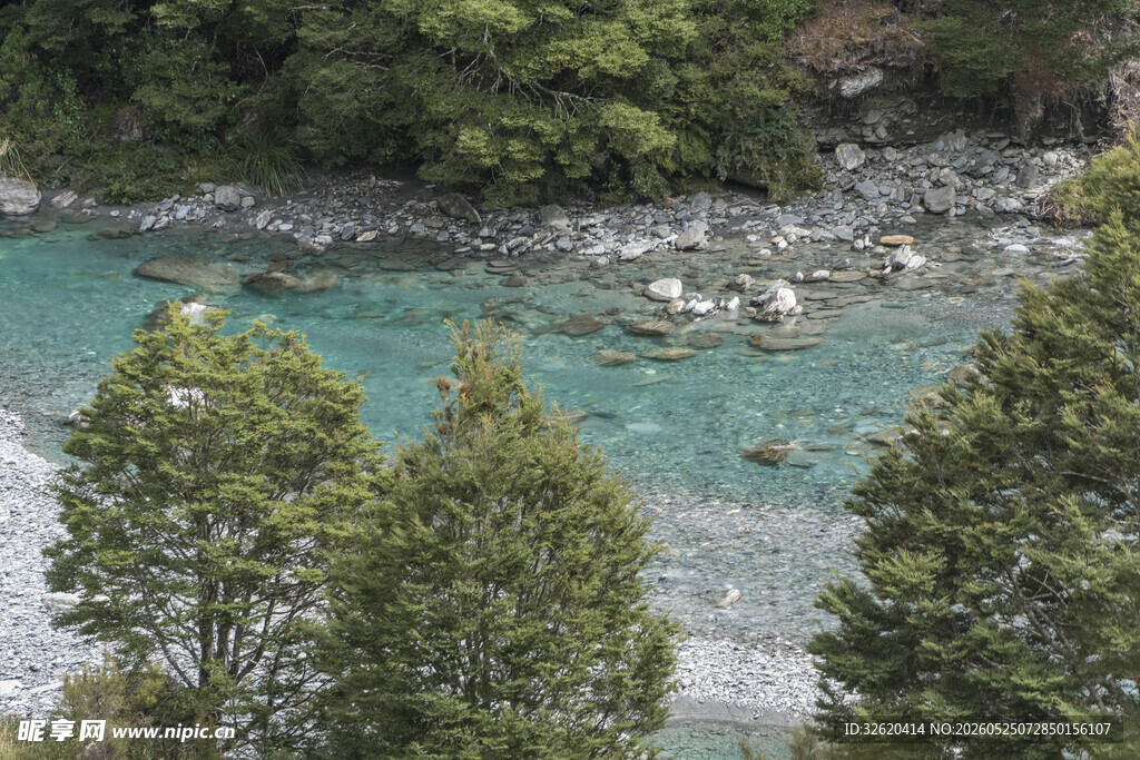 山间碧流旁的翠绿树木