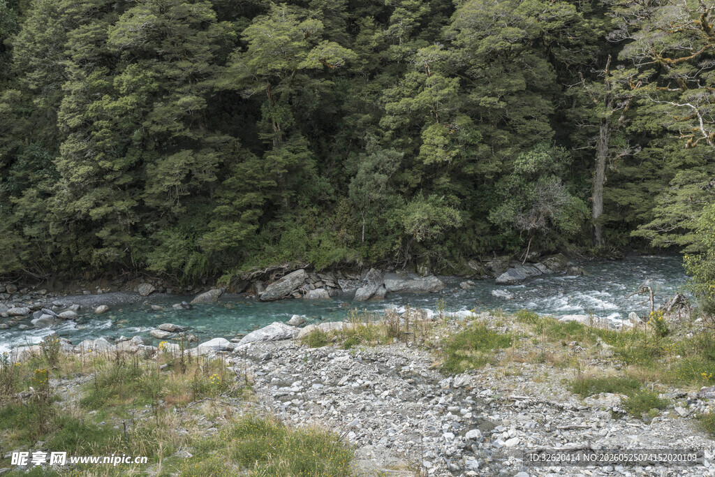 山间溪流旁的葱郁林地