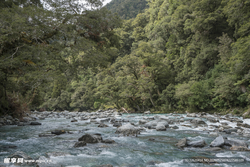 山间湍急溪流与葱郁植被