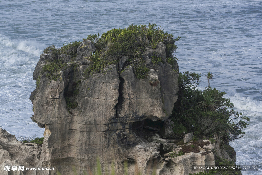 海边嶙峋岩石绿植相伴
