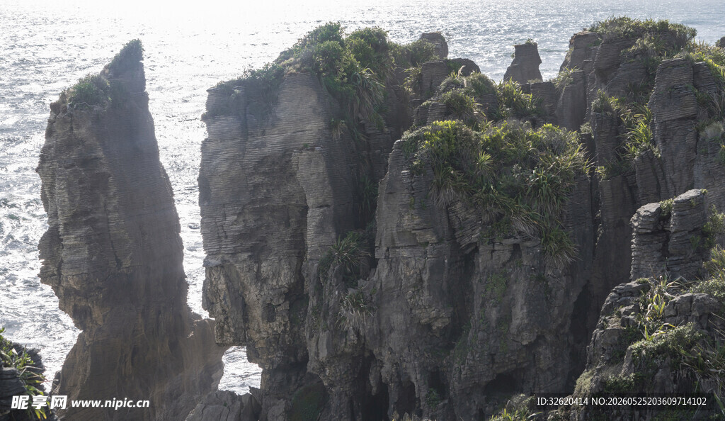 海边嶙峋岩石与绿植景观