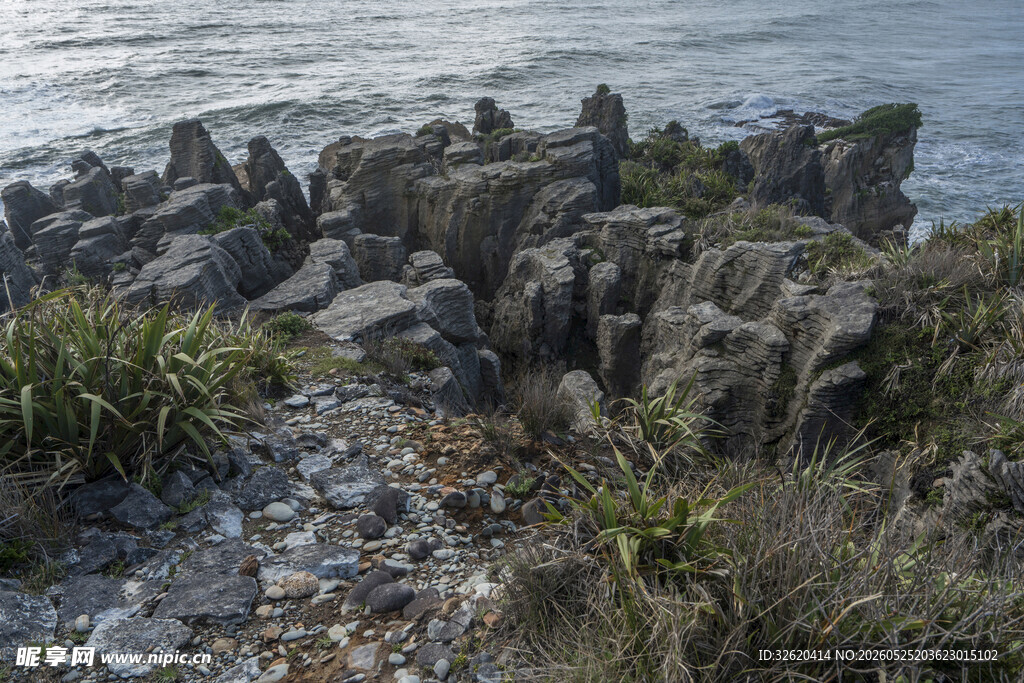 海岸嶙峋岩石与绿植景观
