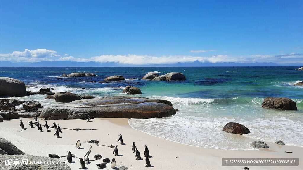 海滩上的企鹅与美丽海景
