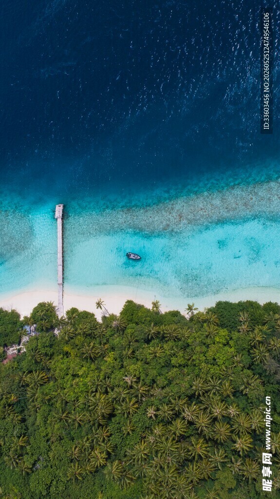 海岛葱郁植被与碧蓝海水