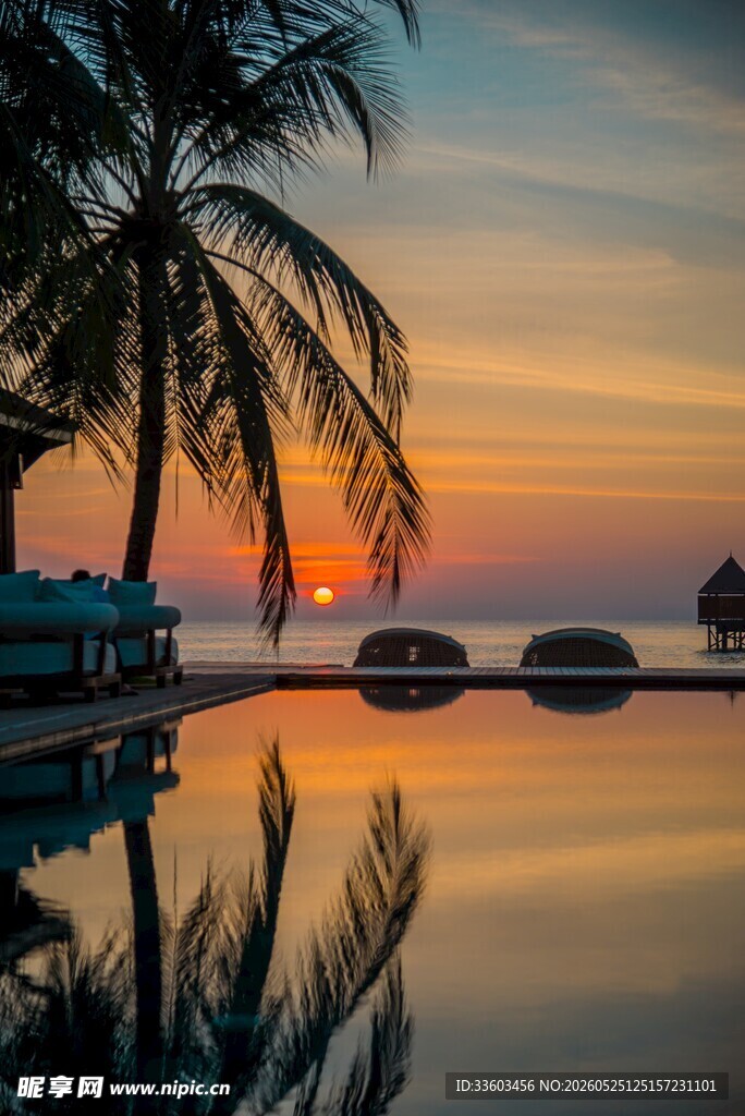 夕阳下的椰树泳池美景