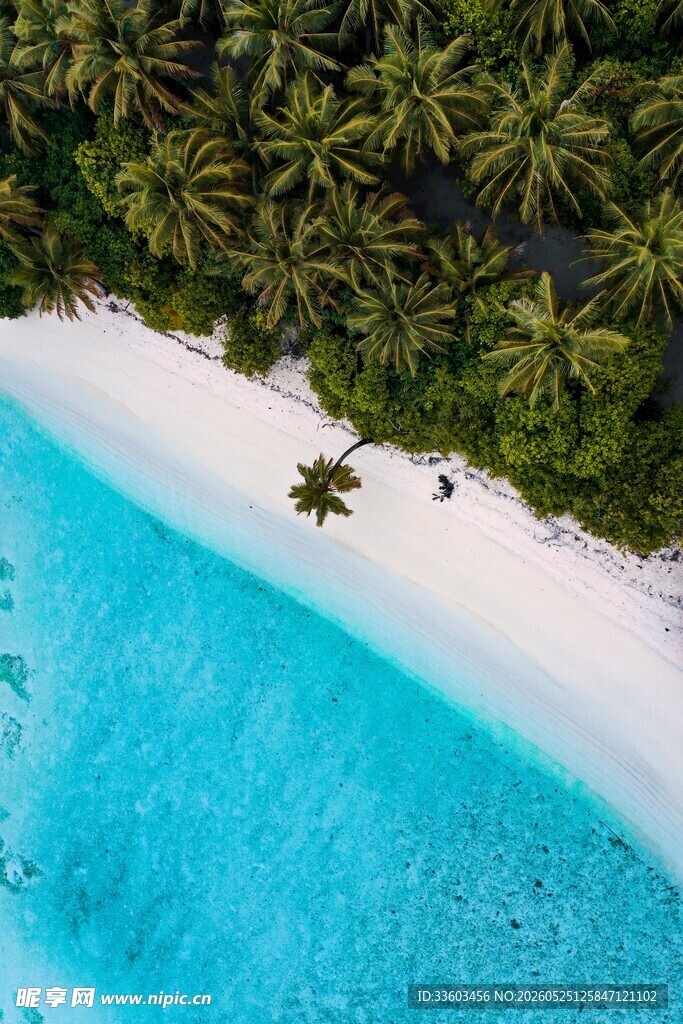 梦幻海岛沙滩椰林美景