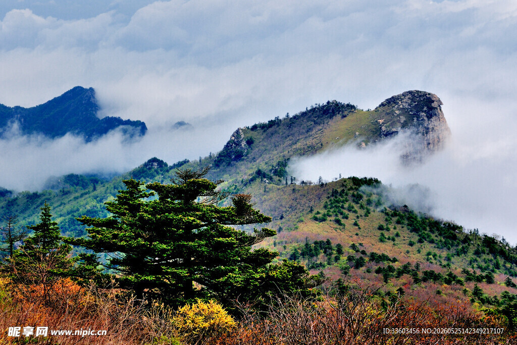 云雾缭绕的壮美山峦景色