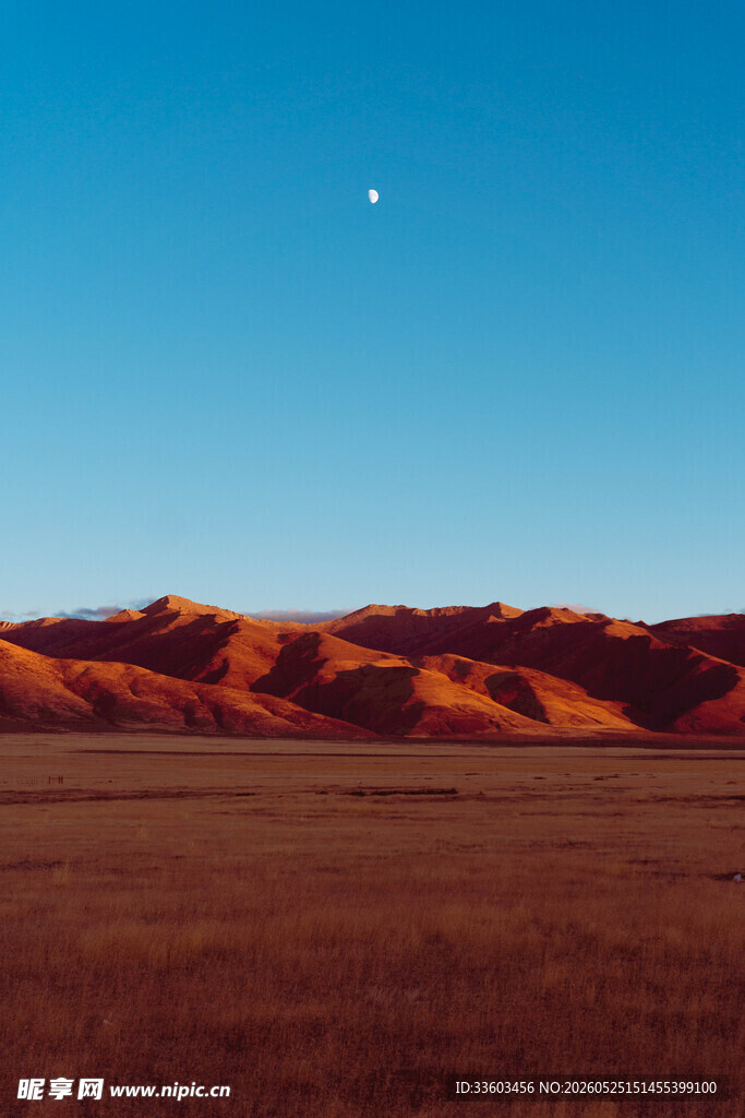 沙漠月夜景观