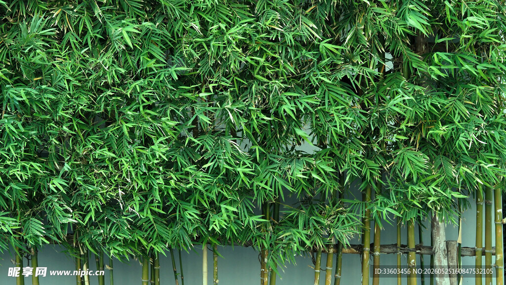 翠绿植物墙清新自然风