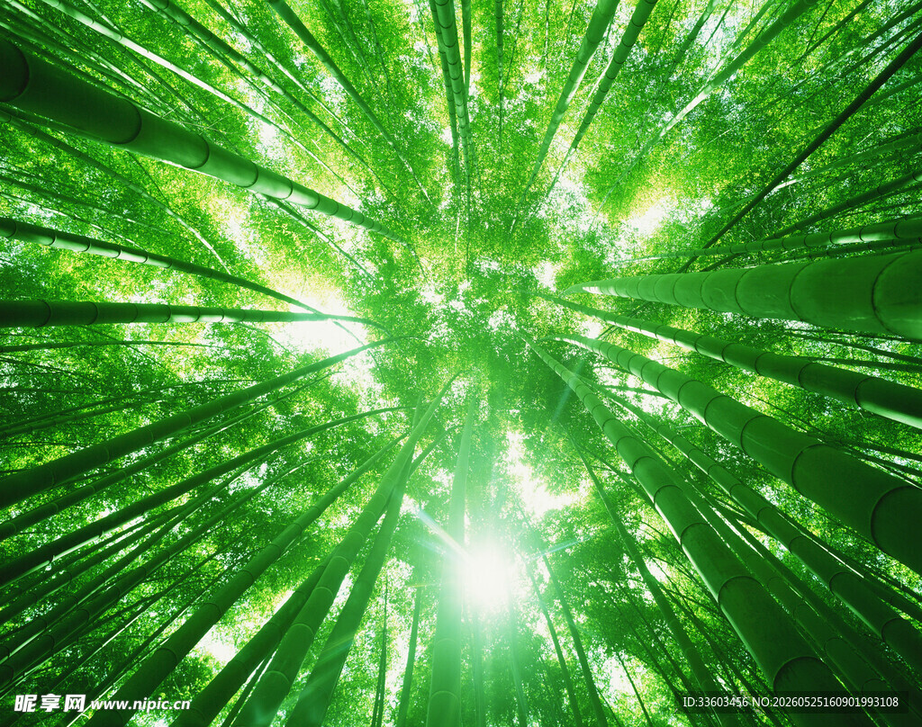 绿色光芒放射特效背景