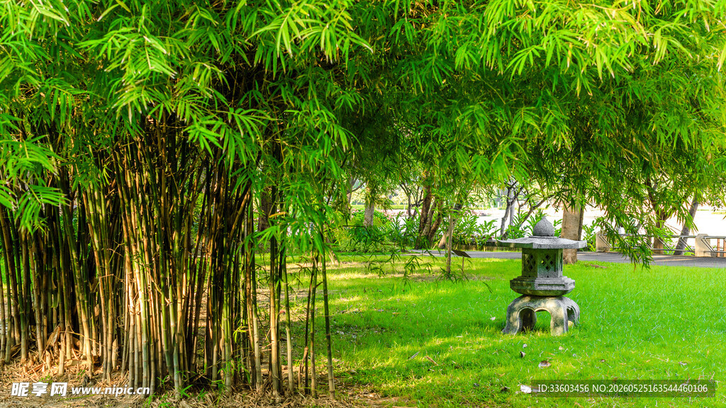 绿荫下的休闲户外场景