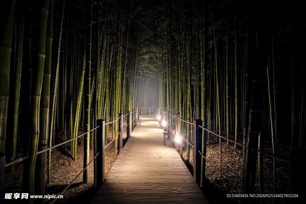 竹林幽径光影斑驳之景