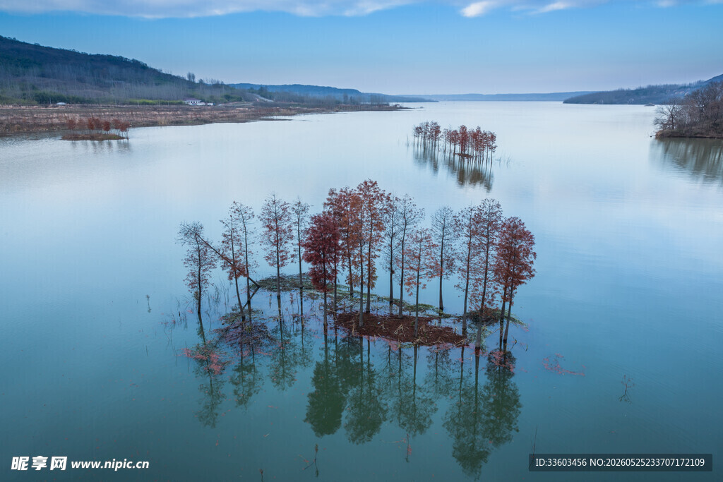 湖中小树映景如画