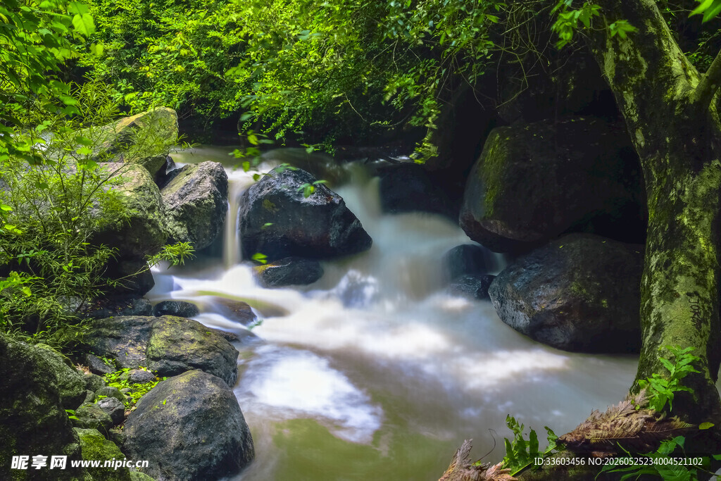 山林间的潺潺溪流