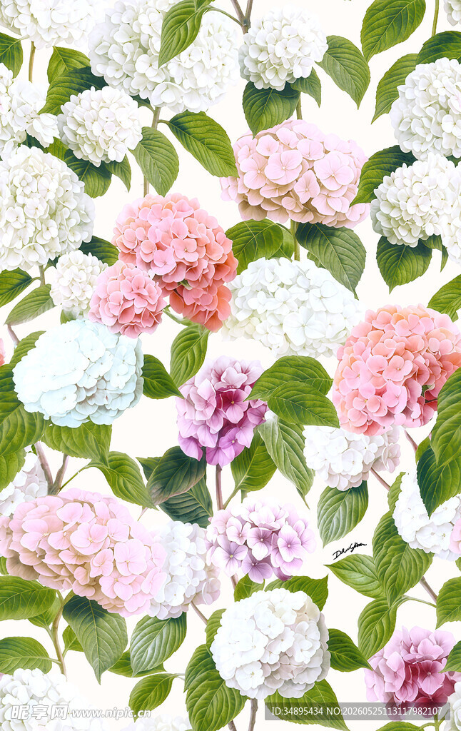 绣球花 手绘花