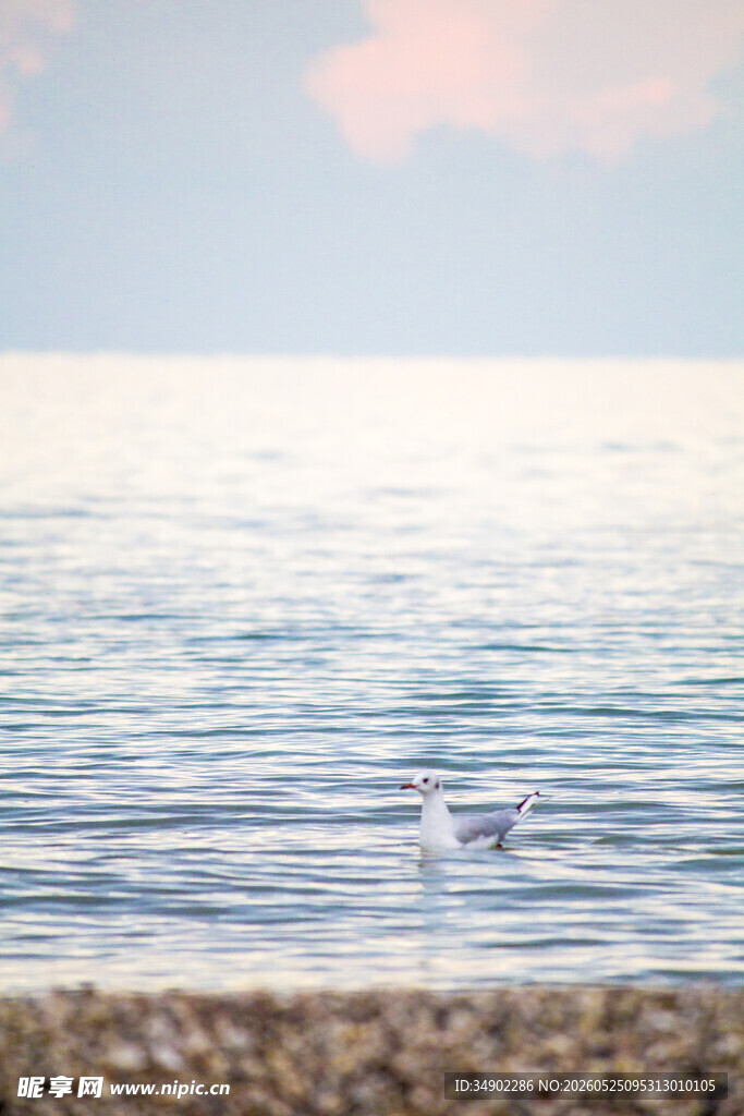 海边宁静美景